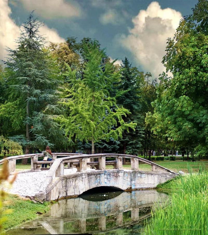 Sziget Apartman Eger Esterno foto