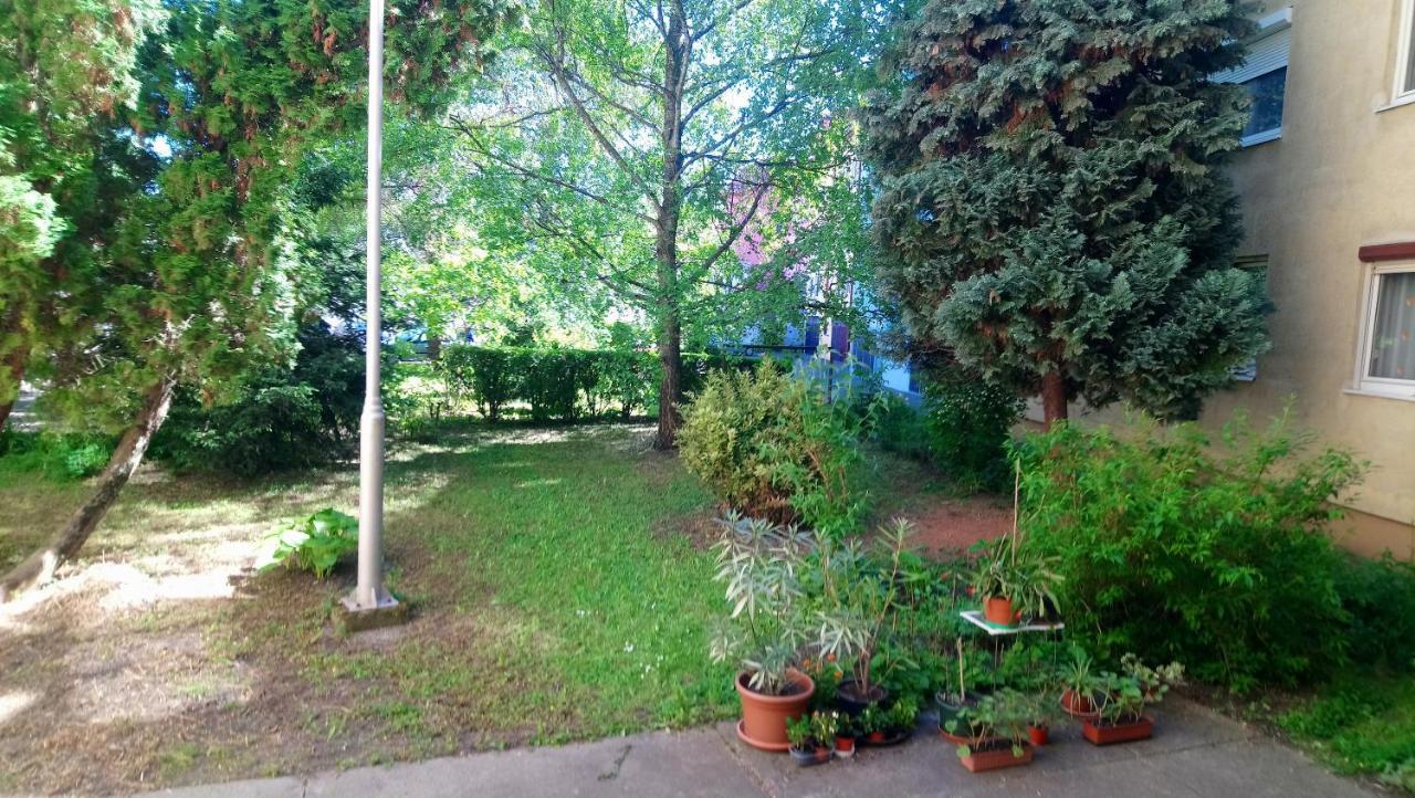 Sziget Apartman Eger Esterno foto